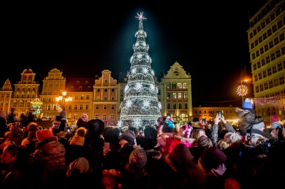 Choinka na wrocławskim rynku już w blasku światełek - 2