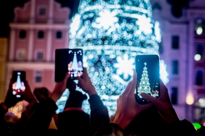Choinka na wrocławskim rynku już w blasku światełek - 3
