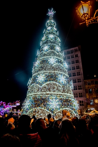 Choinka na wrocławskim rynku już w blasku światełek - 4