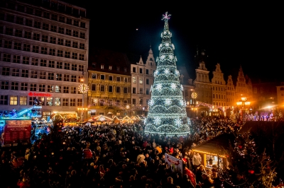 Choinka na wrocławskim rynku już w blasku światełek - 5