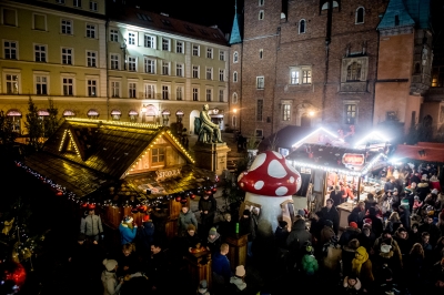 Choinka na wrocławskim rynku już w blasku światełek - 6
