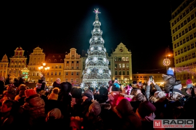 Choinka na wrocławskim rynku już w blasku światełek