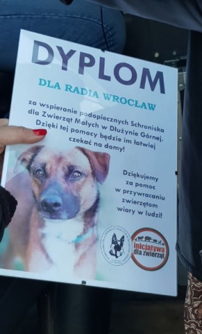 Razem z Wami pomogliśmy bezpańskim zwierzętom [ZDJĘCIA] - 2