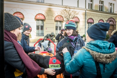 28. Finał Wielkiej Orkiestry Świątecznej Pomocy [ZDJĘCIA] - 3