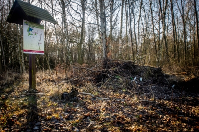 Śmierdzący problem w największym parku krajobrazowym w Polsce - 6