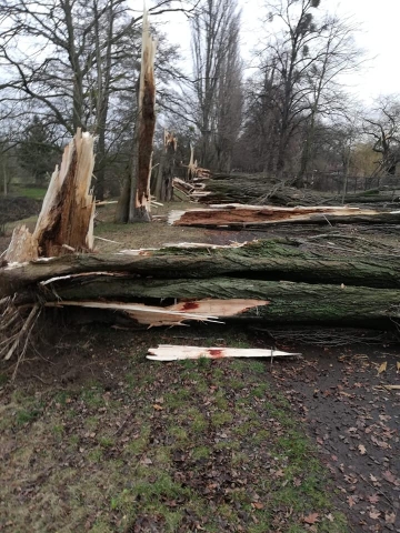 Wichura na Dolnym Śląsku. Około 500 interwencji straży pożarnej [AKTUALIZACJA] - 0