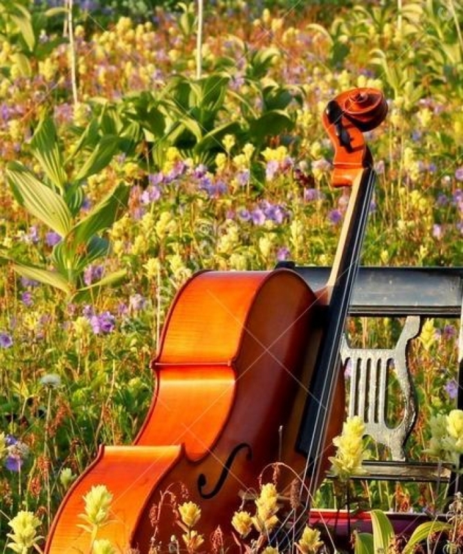 Koncert pt. „Przywitanie wiosny" – z cyklu „najpiękniejsza klasyka w najlepszym wykonaniu" - fot. materiały prasowe