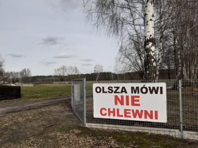 Dolnośląscy posłowie chcą zablokować budowę chlewni w Olszy