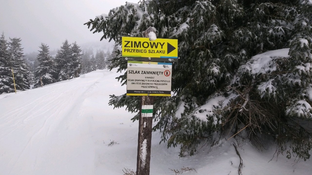 Karkonoski Park Narodowy zamknął część zielonego szlaku  - fot. KPN