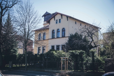 FOTOSPACER: Borek - wille cz. I - 9