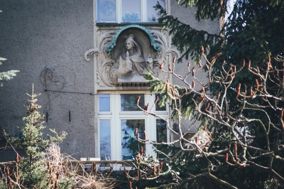 FOTOSPACER: Borek - wille cz. I - 12