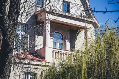 FOTOSPACER: Borek - wille cz. I - 5