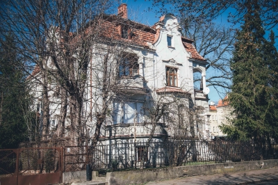 FOTOSPACER: Borek - wille cz. I - 7