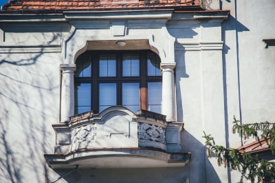FOTOSPACER: Borek - wille cz. I - 8