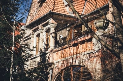 FOTOSPACER: Borek - wille cz. I