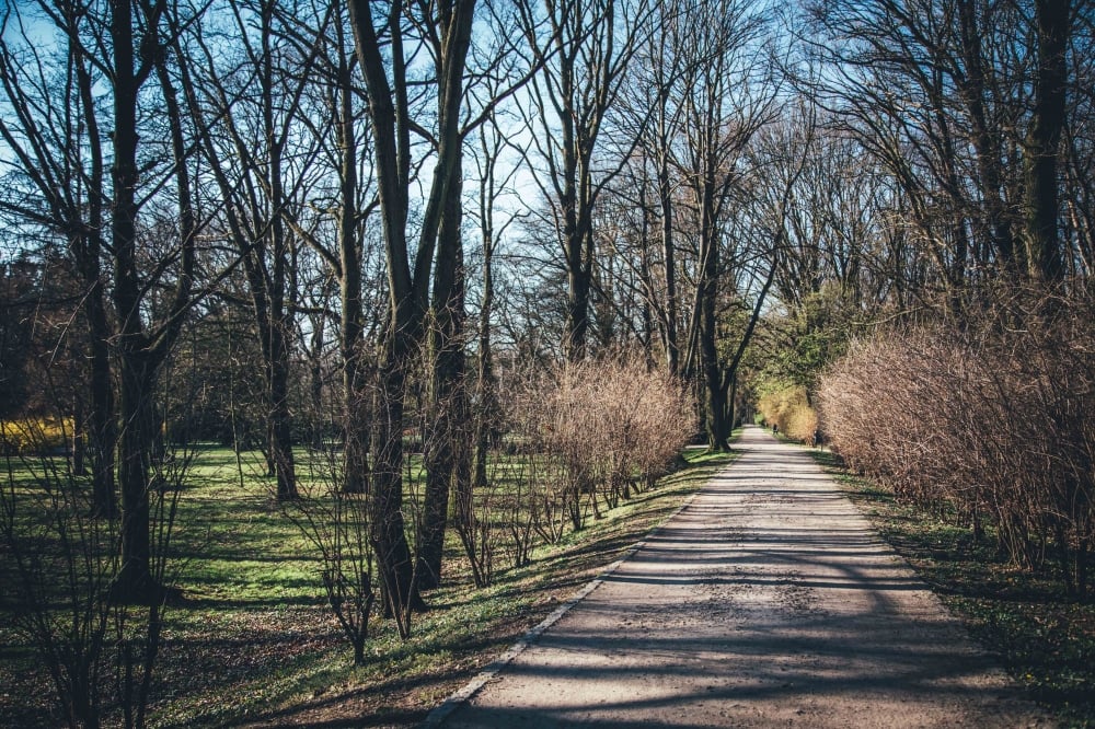 FOTOSPACER: Parki po zmianach