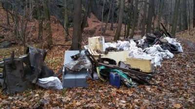 W lesie między Mirskiem, a Giebułtowem nieznani sprawcy porzucili tony śmieci