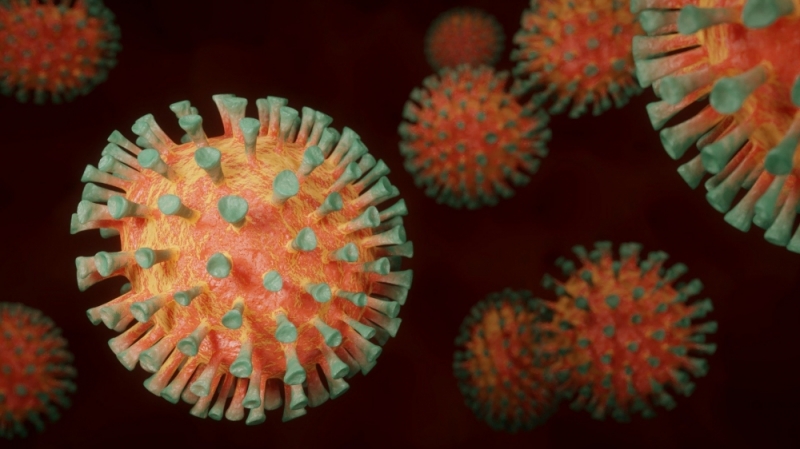 Pandemia – gdzie jesteśmy? Raport wrocławskich naukowców z grupy Mocos - fot. pixabay (zdjęcie ilustracyjne)