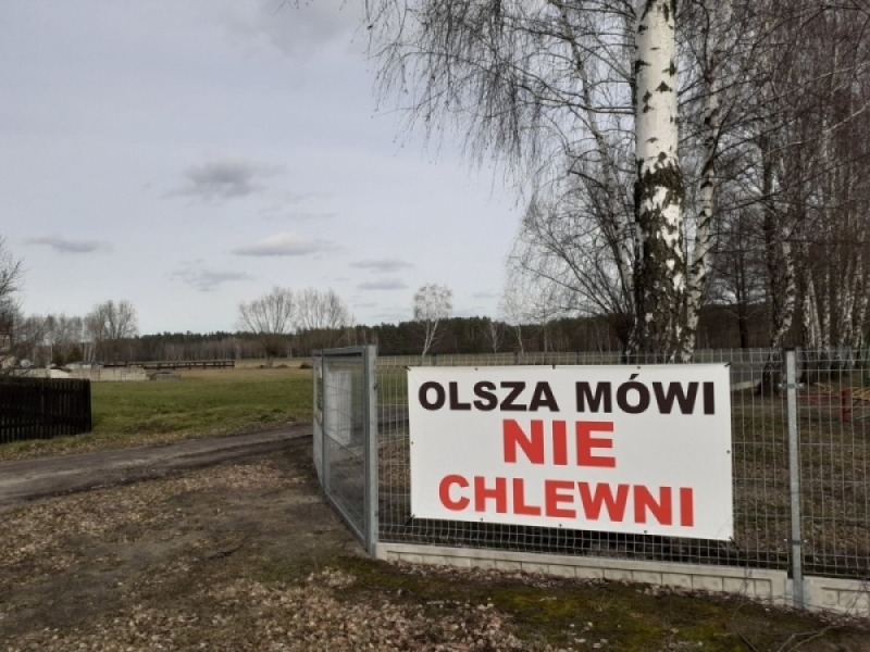 CBA zajmie się chlewnią, która ma powstać obok parku krajobrazowego w Miliczu - fot. archiwum Radia Wrocław