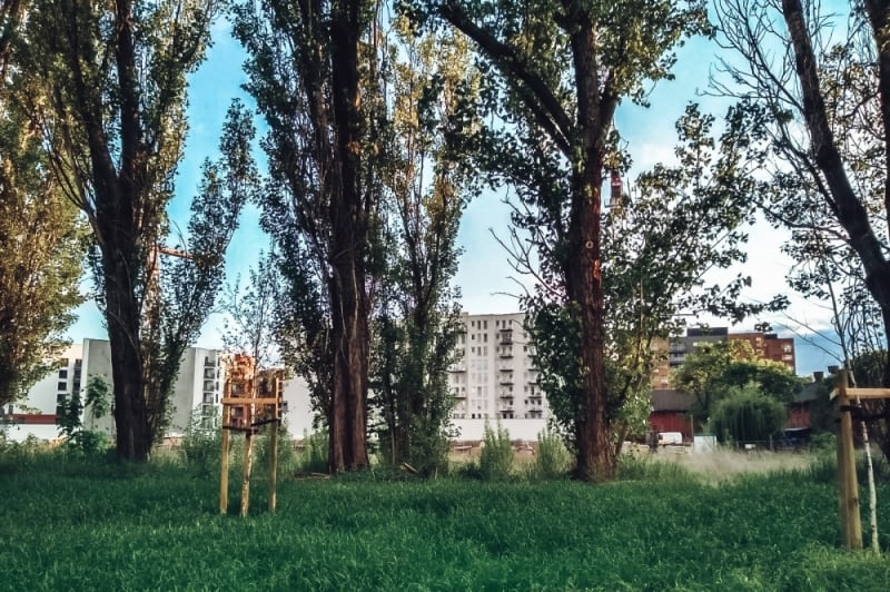 Wrocław: Miasto chce kupić działkę pod park na Kępie Mieszczańskiej - Fot. Patrycja Dzwonkowska