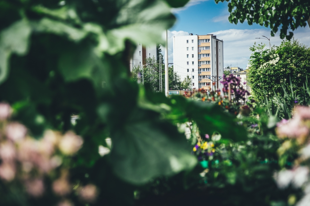 Miejska dżungla [FOTOSPACER]