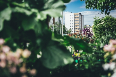 Miejska dżungla [FOTOSPACER] - 0