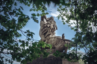 Miejska dżungla [FOTOSPACER] - 1