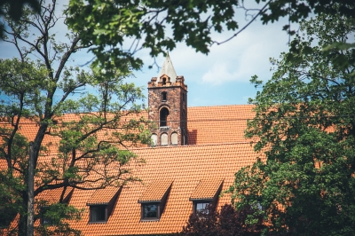 Miejska dżungla [FOTOSPACER] - 4