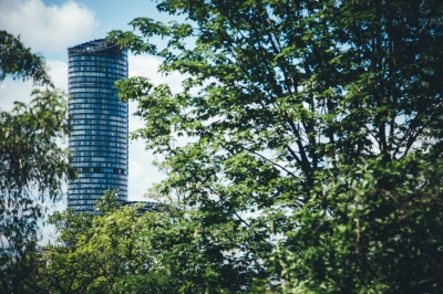 Miejska dżungla [FOTOSPACER] - 6