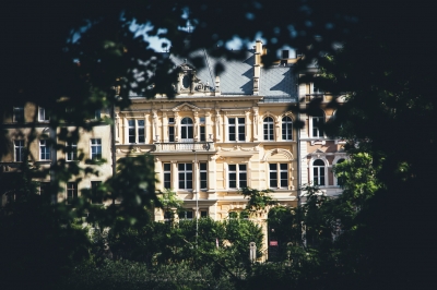 Miejska dżungla [FOTOSPACER] - 8