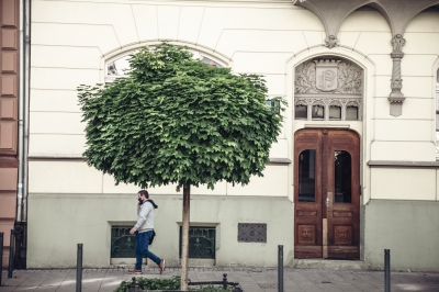 GALERIA: Kamienice przy ul. Norwida we Wrocławiu - 3