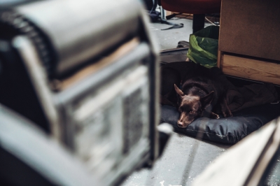 Układają, drukują i ratują przed wyrzuceniem na złom [FOTOREPORTAŻ] - 8