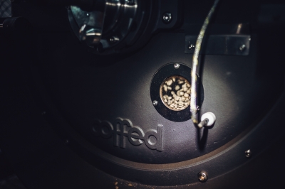 Biała czy czarna? Jaką drogę przechodzi kawa zanim trafi do naszego kubka? - 10
