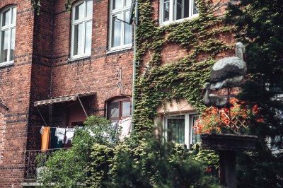 Pracze Odrzańskie - sielskie i pachnące różami [FOTOSPACER] - 15