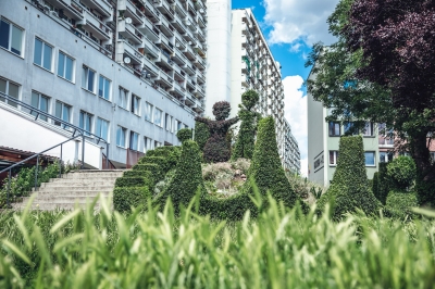 Wrocławskie żywopłoty hitem w sieci. Od 30 lat dba o nie lokator [ZDJĘCIA] - 13