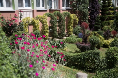 Wrocławskie żywopłoty hitem w sieci. Od 30 lat dba o nie lokator [ZDJĘCIA] - 4
