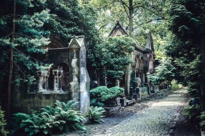 Zabytkowy Cmentarz Żydowski [FOTOSPACER] - 13