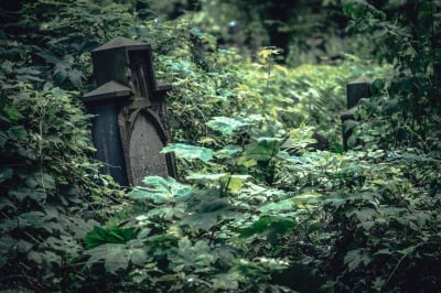 Zabytkowy Cmentarz Żydowski [FOTOSPACER] - 1
