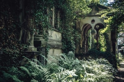 Zabytkowy Cmentarz Żydowski [FOTOSPACER] - 19