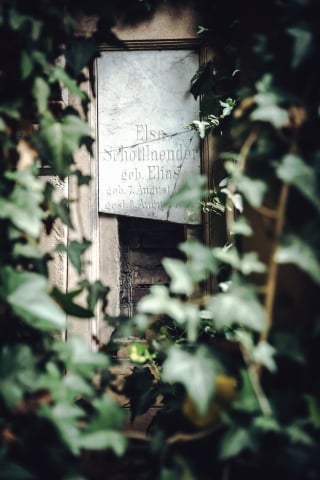 Zabytkowy Cmentarz Żydowski [FOTOSPACER] - 20