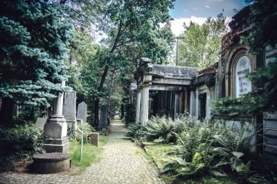 Zabytkowy Cmentarz Żydowski [FOTOSPACER] - 21