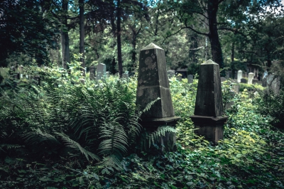 Zabytkowy Cmentarz Żydowski [FOTOSPACER] - 2
