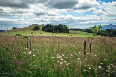 FOTOSPACER: Góry Kaczawskie - 12