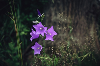 FOTOSPACER: Góry Kaczawskie - 13