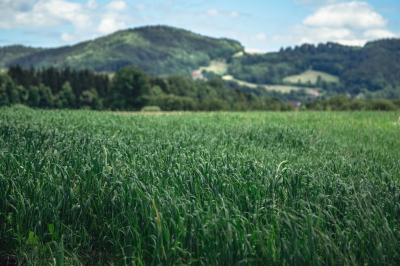 FOTOSPACER: Góry Kaczawskie - 7