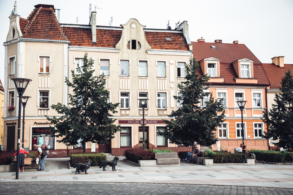 Psie Pole - miasto w mieście [FOTOSPACER]