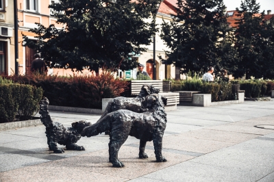 Psie Pole - miasto w mieście [FOTOSPACER] - 1