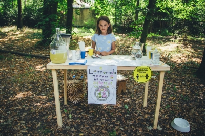 Lemoniada dla ochłody, pieniądze - na rzecz bezdomnych psów - 1