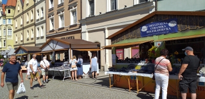DRJ: Bolesławieckie Święto Ceramiki - 8