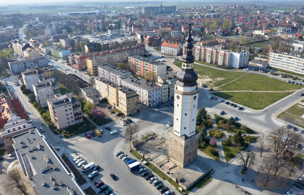 Reakcja24: W studiu burmistrz Strzelina i starosta kłodzki - Columba livia/fotopolska.eu (CC BY-SA 4.0)